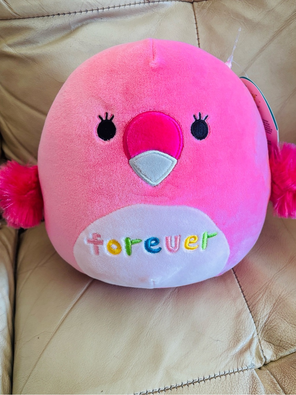 SQUISHMALLOWS 8 inches ~ Cookie 🐦 🩷